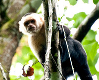 2012-04-26 Costa Rica-3071