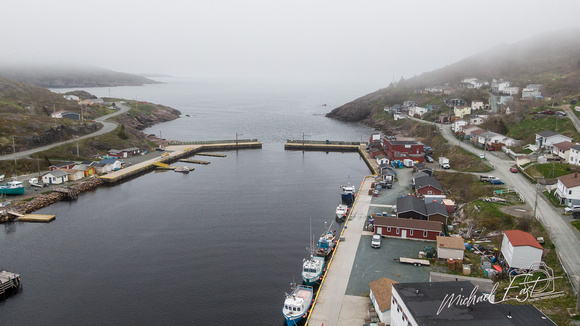 2023-06-14 Newfoundland-1010