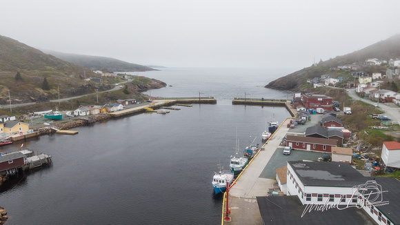 2023-06-14 Newfoundland-1014