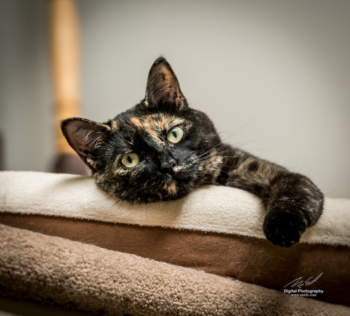 2019-09-11 Andrea and Emery Sept 2019-0104