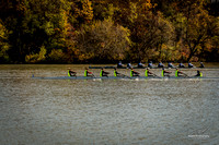 2018-11-04 Sarah Rowing in St. Catharines-0140