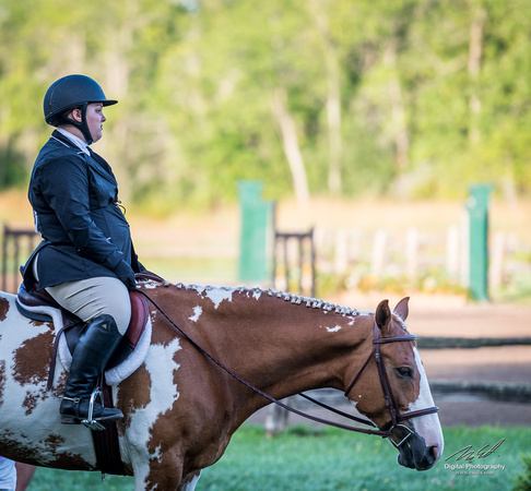 2018-08-12 Morgan on Horseback-0015