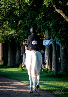 2018-08-12 Morgan on Horseback-0011