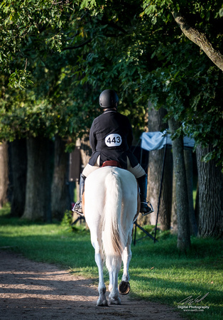 2018-08-12 Morgan on Horseback-0011