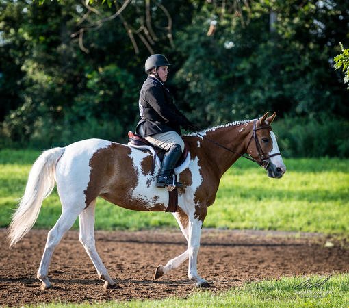 2018-08-12 Morgan on Horseback-0021