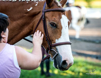 2018-08-12 Morgan on Horseback-0026