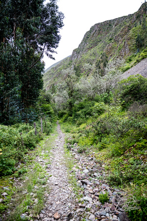 2024-01-31 Peru 2024-0849