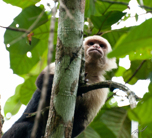 2012-04-26 Costa Rica-3070